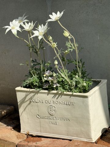 小竹町2丁目　駐車場空あり